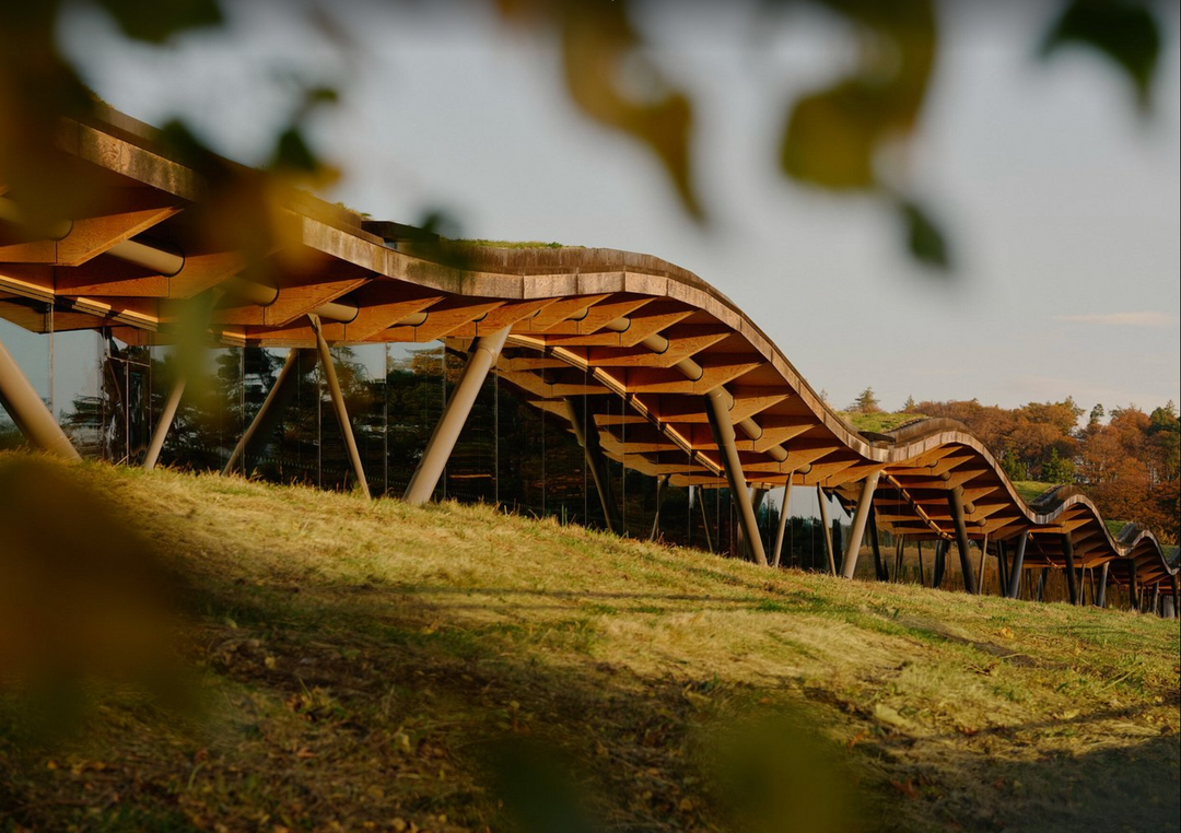 The Macallan Achieves Historic Wildlife Conservation Accreditation
