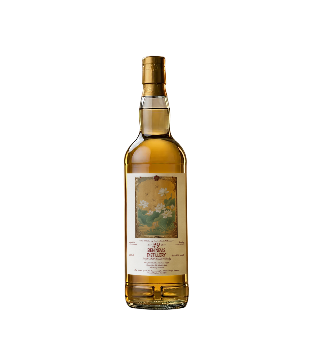 Ben Nevis 29 year old